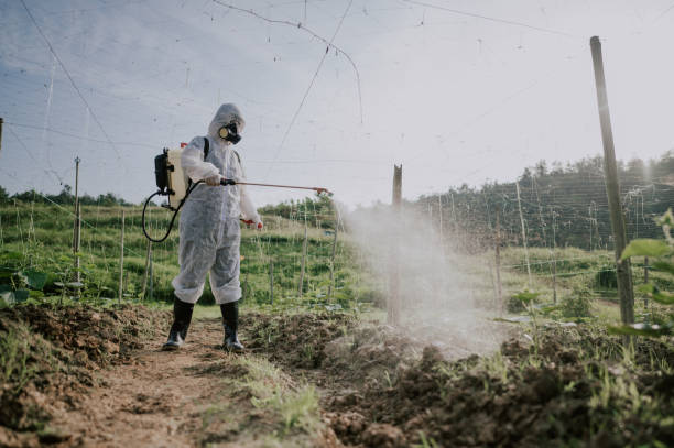 Best Local Pest Control Services  in Mcclure, PA