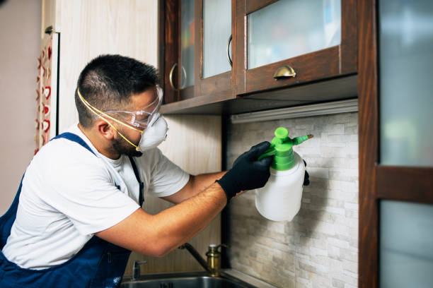 Pest Control for Restaurants in Mcclure, PA