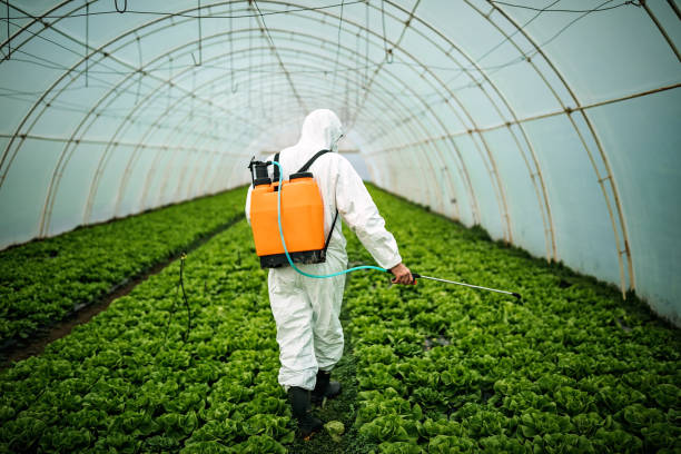 Best Pest Inspection Near Me  in Mcclure, PA