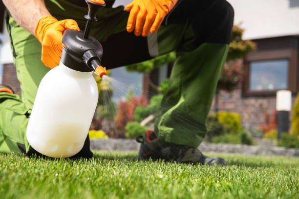 Best Pest Removal Services  in Mcclure, PA