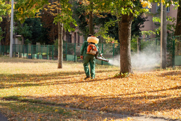 Best Spider Control Near Me  in Mcclure, PA