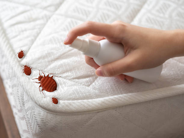 Best Ant Control Services  in Mcclure, PA